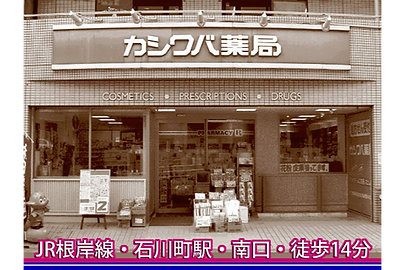 カシワバ薬局/柏葉店