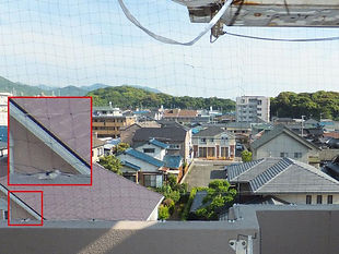 害獣・害鳥対策