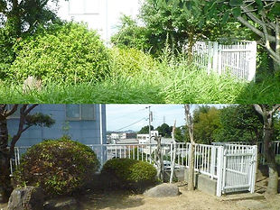 公園