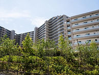 マンション