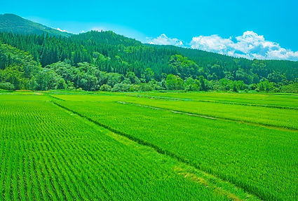 圃場測量サービス