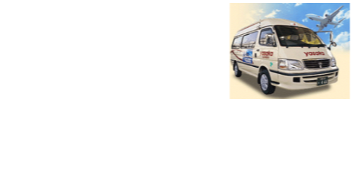 車