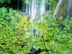 結婚・恋愛運の参考例