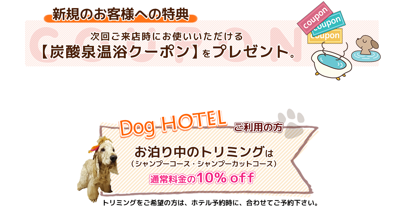 キャンペーン