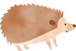 ハリネズミ