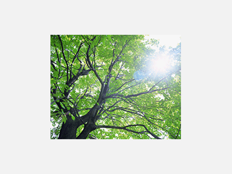 6396684.gif
