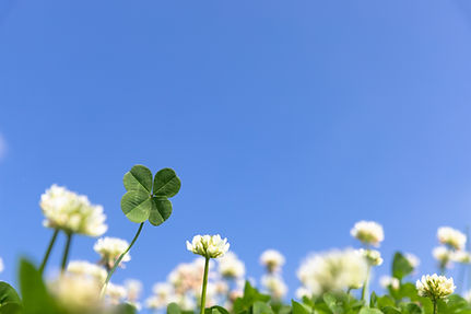 お気軽にご相談ください