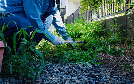 庭木の伐採・草刈り