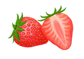 いちご イラスト