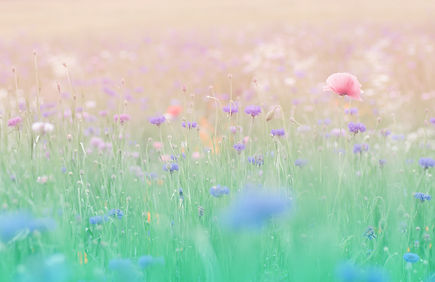 皮膚科(保険適応)