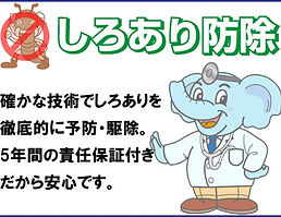 しろあり防除