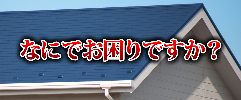 top01.jpg