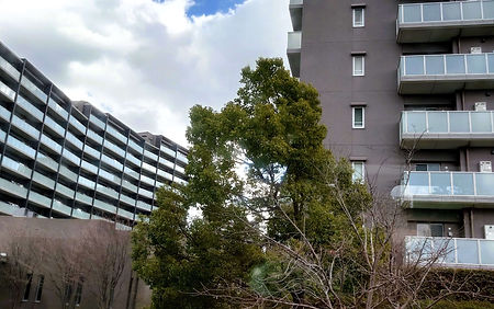 不動産