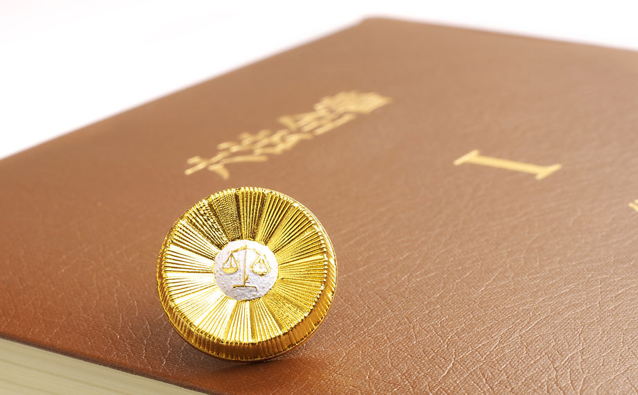 千葉総合法律事務所(弁護士法人)