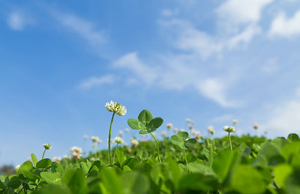 しみ治療(塗り薬)