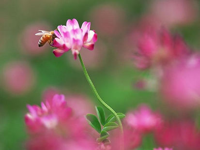 デイケアセンター併設