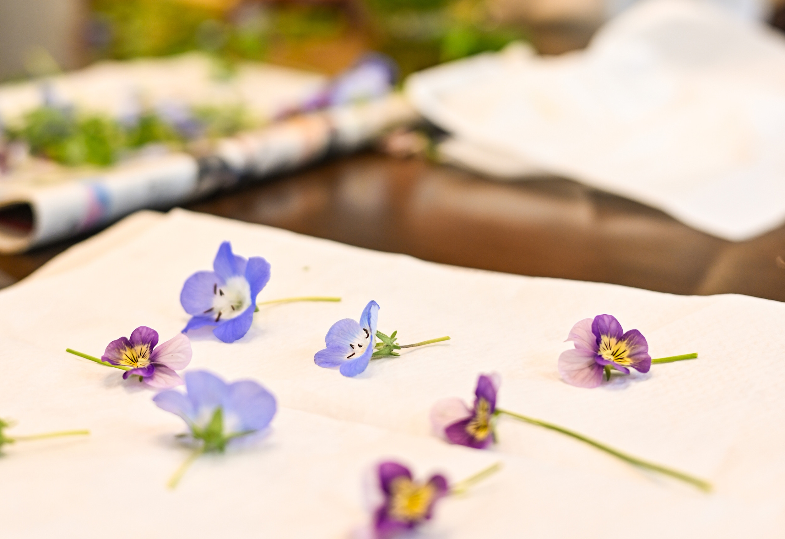 大分県竹田市 押し花 花教室 レッスン おし花工房いちりん草