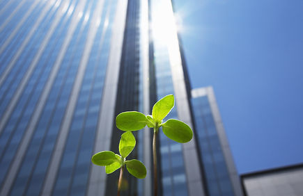 起業・独立支援