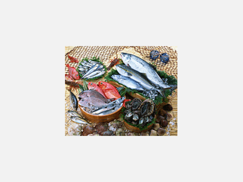 魚