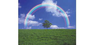 堺市のクリーニング店