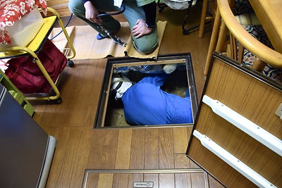 シロアリ駆除施工・イエシロアリ(㎡)