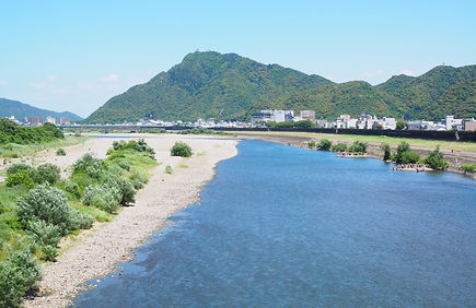 環境分析・調査