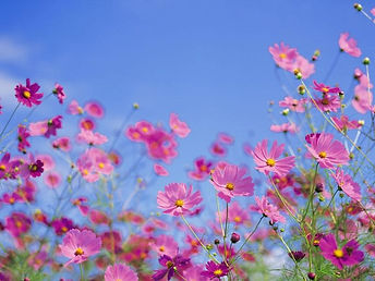 aiデイケアセンター併設