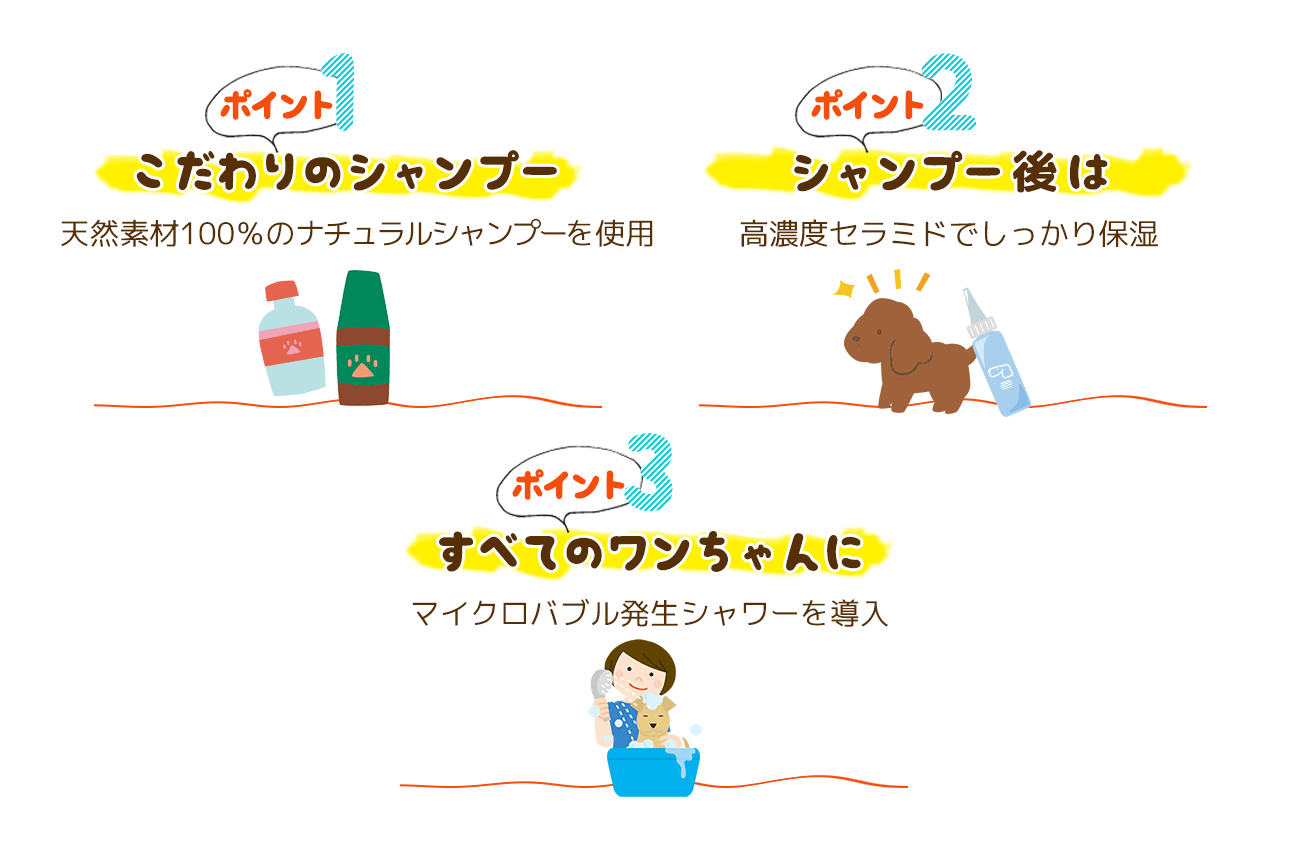 シャンプーのポイント