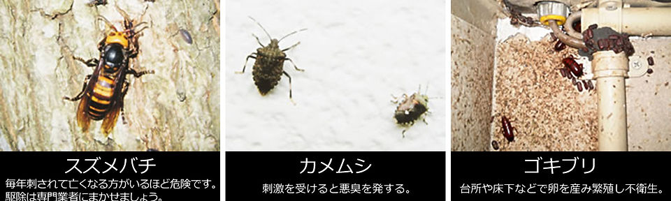害虫