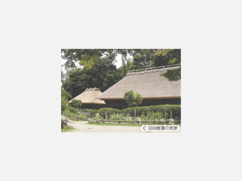 国指定旧椎葉家住宅主屋馬屋全解体保存修理 .gif