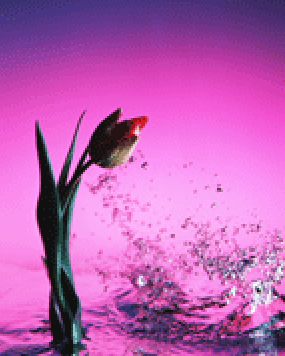 花