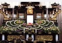 例