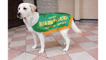 ◆高等訓練コース(期間6ヶ月以上)