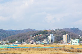 地域密着のサービス