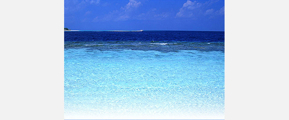 海