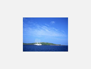 海