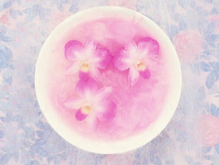 ピンクの花