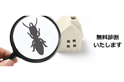 無料診断いたします