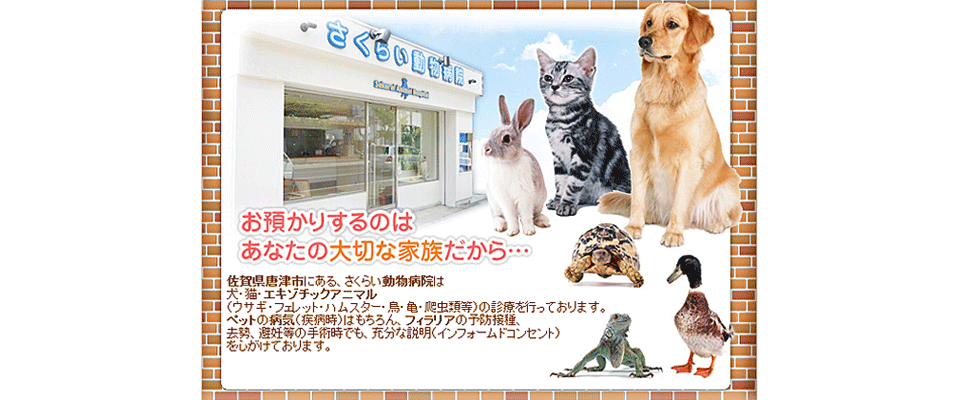 さくらい動物病院