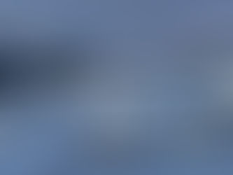 Monthly Report -202507