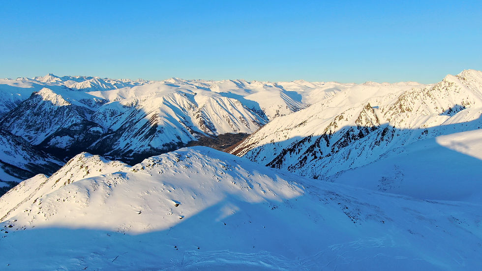 Monthly Report -202508