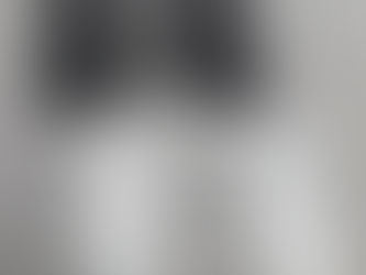 une médaille pour chien gravée et personnalisée