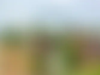 S'établir en Finlande : l'art de vivre scandinave