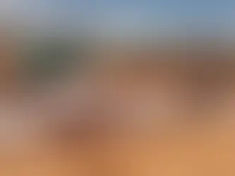 Révolution agricole dans les prisons: le cas d’Ihadilanana