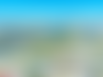 Niigata : une nouvelle vie au cœur du Japon authentique