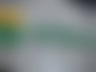 La plus grosse entreprise du Brésil