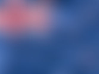 Devenir citoyen néo-zélandais : les démarches et les exigences actuelles