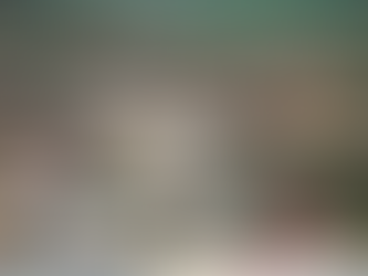 Devenir citoyen du Belize: un guide pour acquérir la nationalité bélizienne