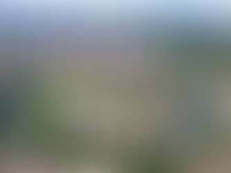 Vivre et déménager à Leoben : l'équilibre parfait en styrie