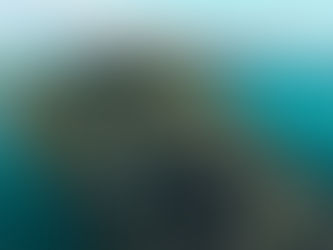 Le coût de la vie à Rakiraki, Fidji : un aperçu des dépenses quotidiennes